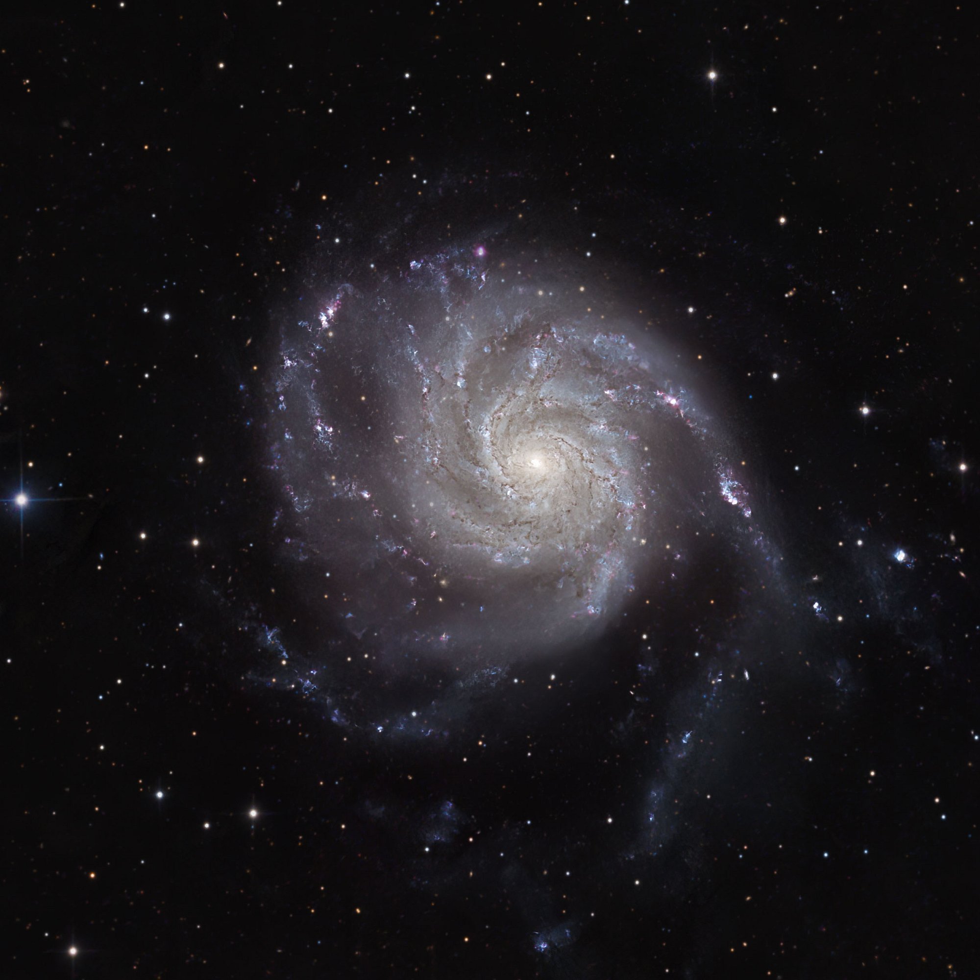 M101 Pinwheel